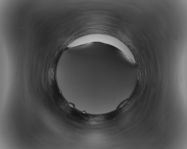 X0000086220382200704261841