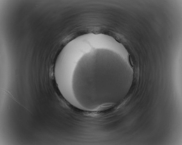 X0000086220383200704261841