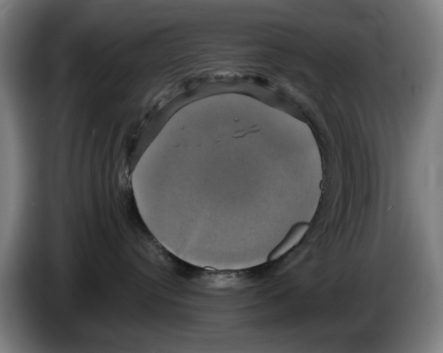 X0000086220384200704261841