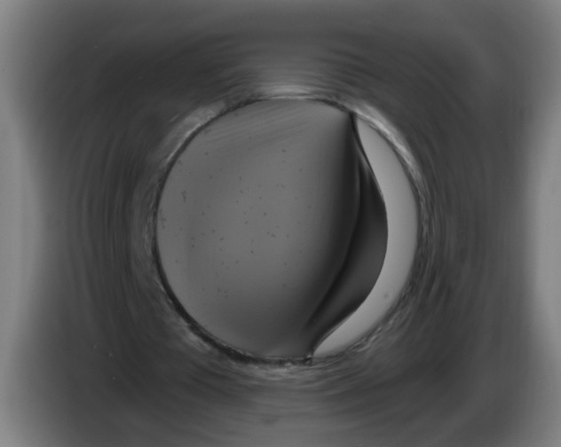 X0000086220385200704261840