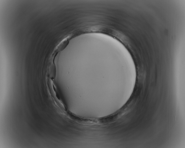 X0000086220386200704261840