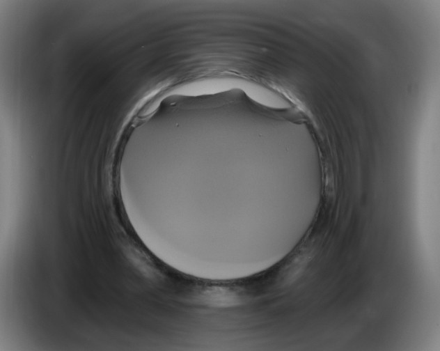 X0000086220390200704261840