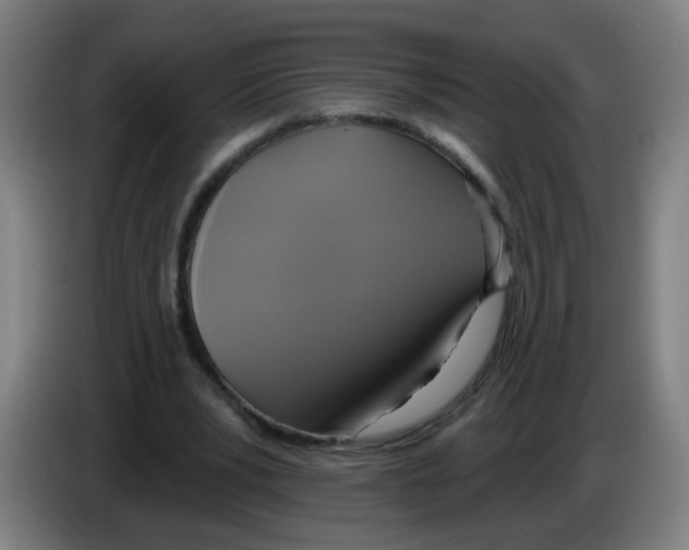 X0000086220391200704261840