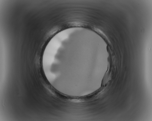 X0000086220394200704261840