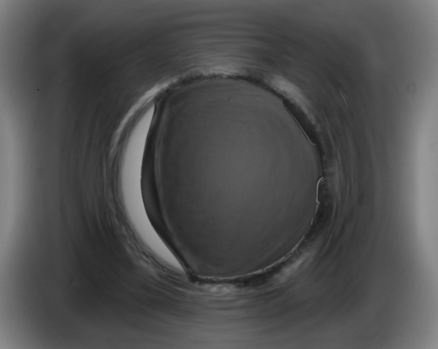 X0000086220395200704261840