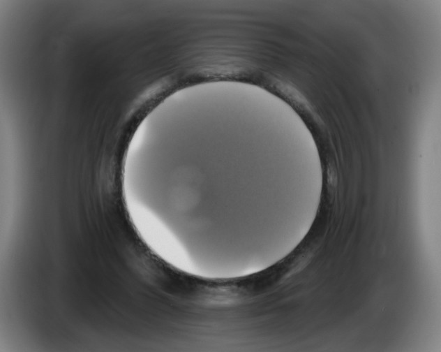 X0000086220396200704261840