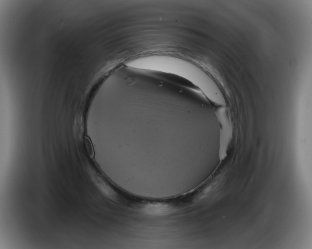 X0000086220397200704261840