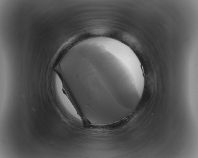 X0000086220400200704261840