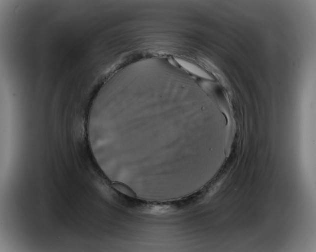 X0000086220401200704261840