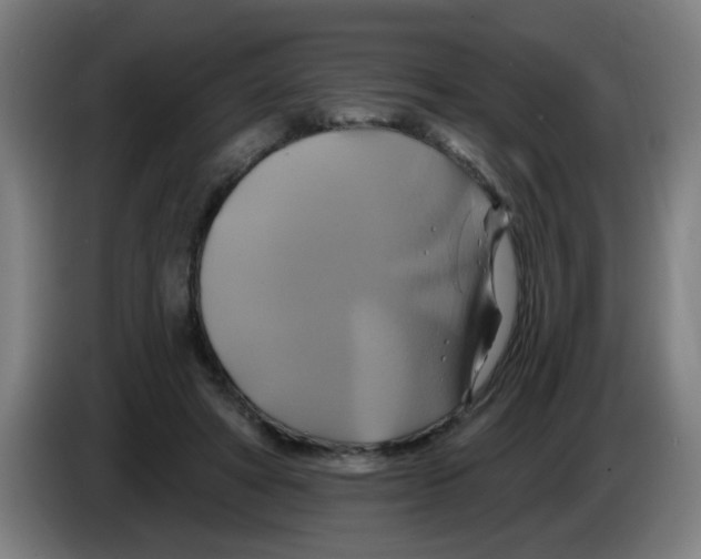 X0000086220402200704261840