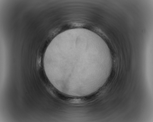 X0000086220406200704261840