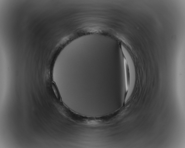 X0000086220407200704261840