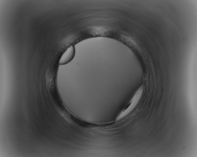 X0000086220408200704261840