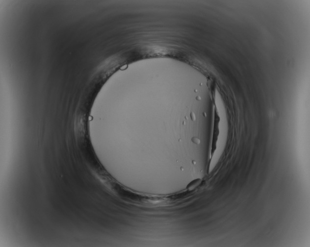 X0000086220410200704261840