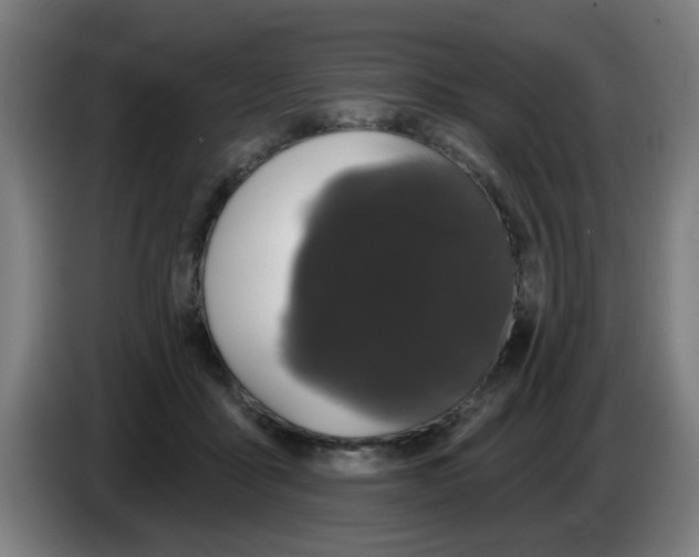 X0000086220411200704261840