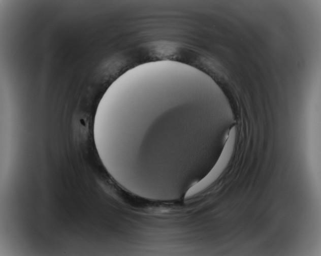 X0000086220412200704261840