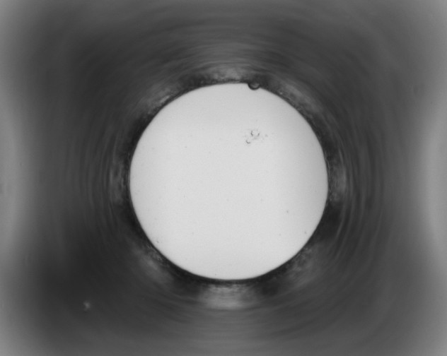 X0000086220414200704261840