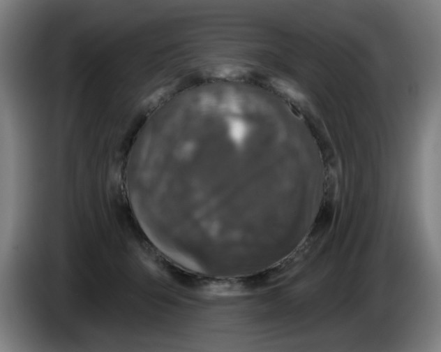 X0000086220415200704261840