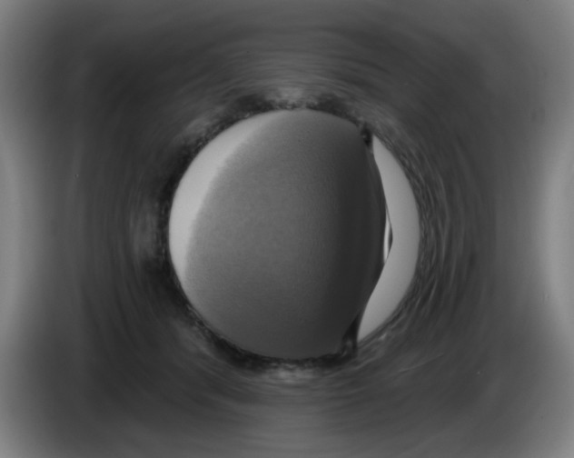 X0000086220416200704261840