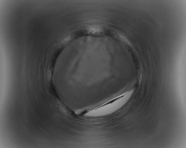 X0000086220417200704261840