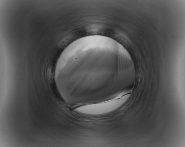 X0000086220420200704261840