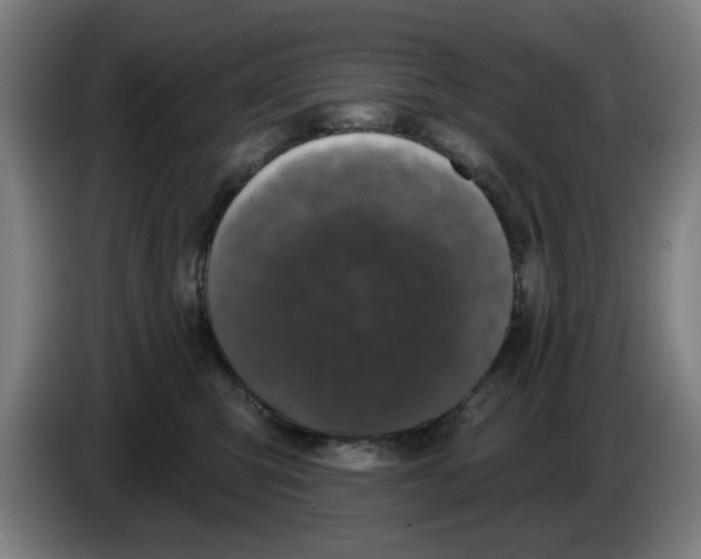 X0000086220423200704261840