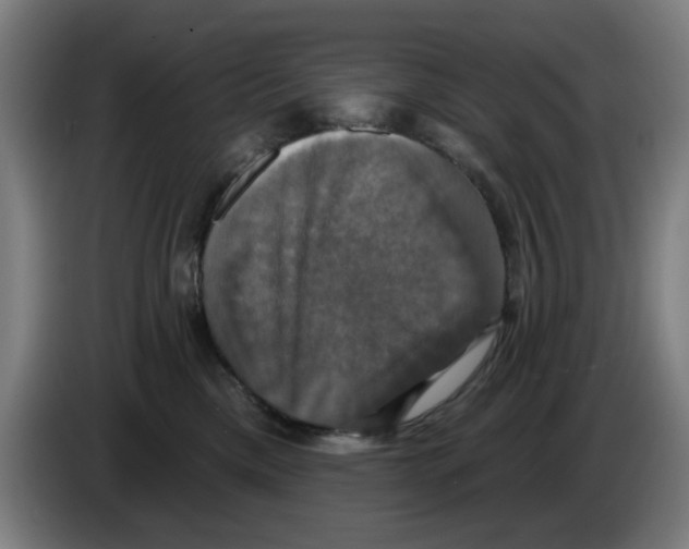 X0000086220425200704261840