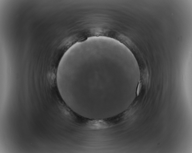 X0000086220427200704261840