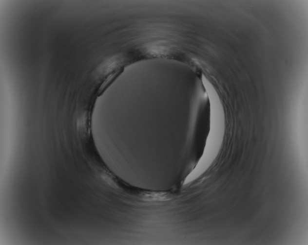 X0000086220428200704261840