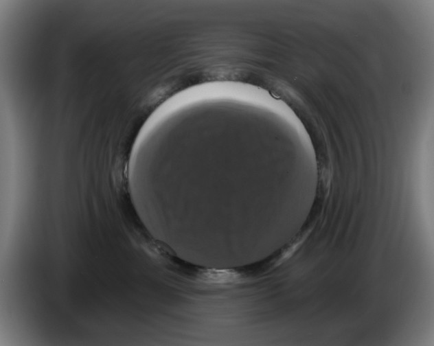 X0000086220429200704261840