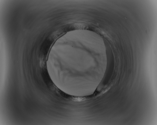 X0000086220432200704261840