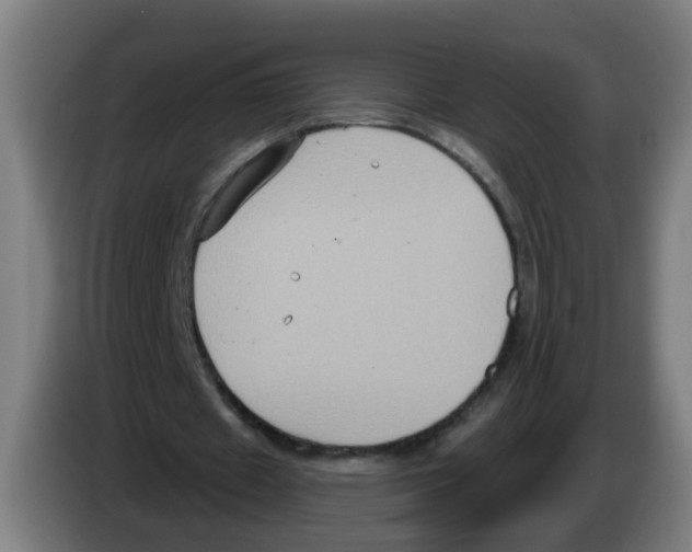 X0000086220433200704261839