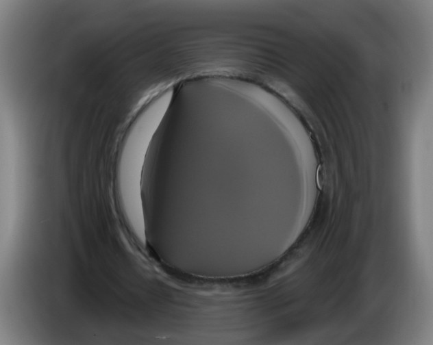 X0000086220434200704261839