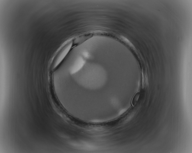 X0000086220435200704261839