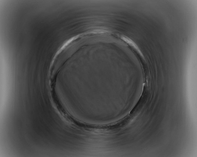 X0000086220436200704261839