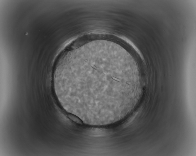 X0000086220437200704261839