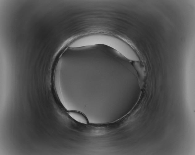 X0000086220438200704261839