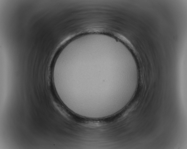 X0000086220439200704261839