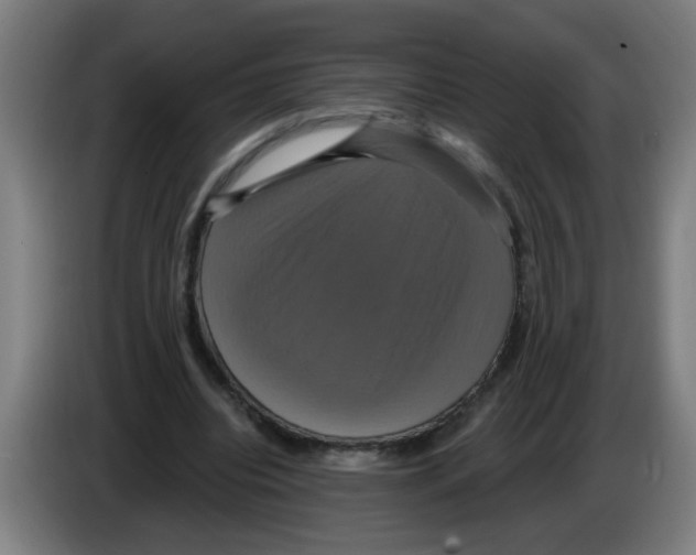 X0000086220440200704261839