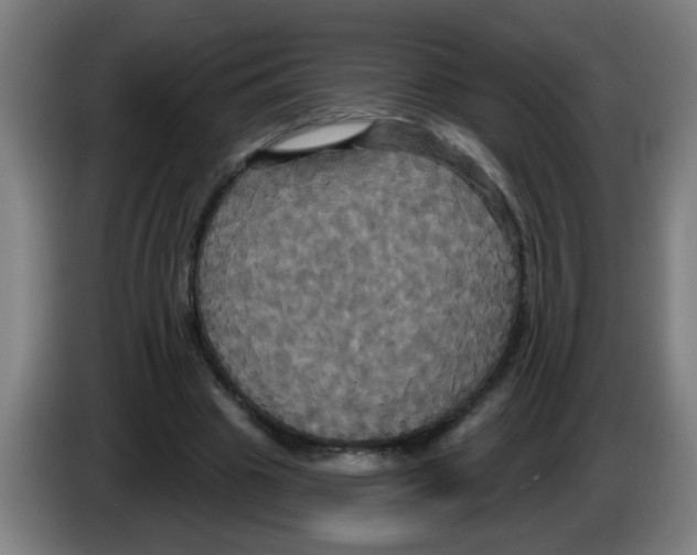 X0000086220441200704261839