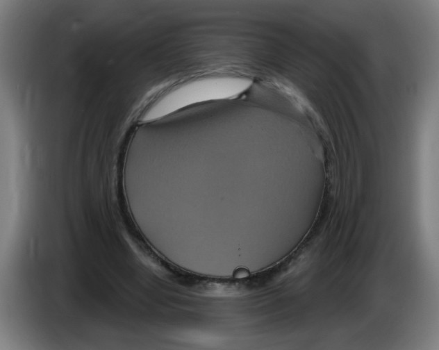 X0000086220442200704261839