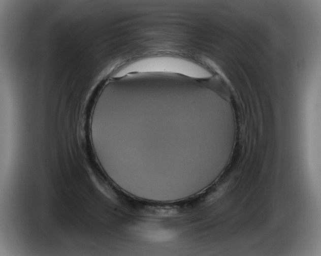 X0000086220443200704261839