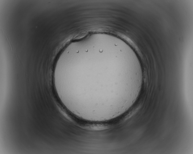 X0000086220445200704261839