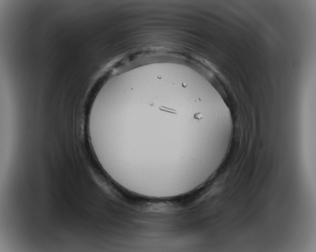 X0000086220446200704261839