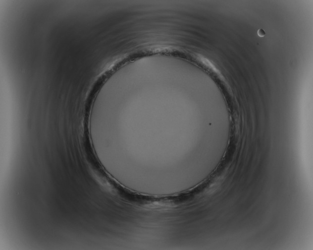 X0000086220447200704261839