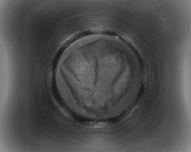 X0000086220448200704261839