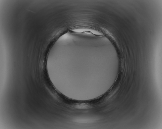 X0000086220451200704261839