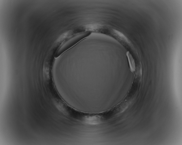 X0000086220452200704261840