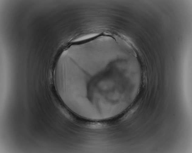 X0000086220453200704261840