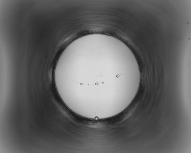 X0000086220454200704261840